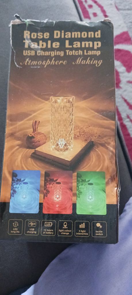 brand New USB charging touch table lamp image indicator(10)