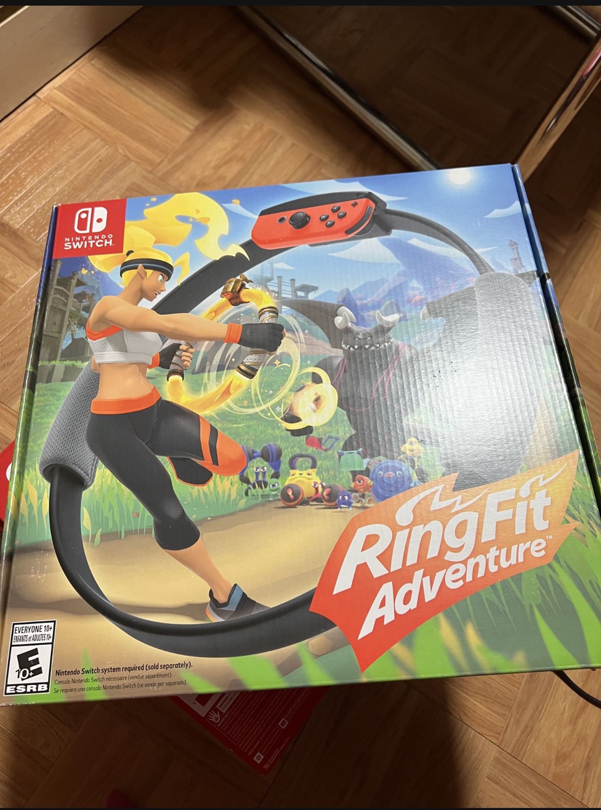 Ring fit adventure Nintendo switch