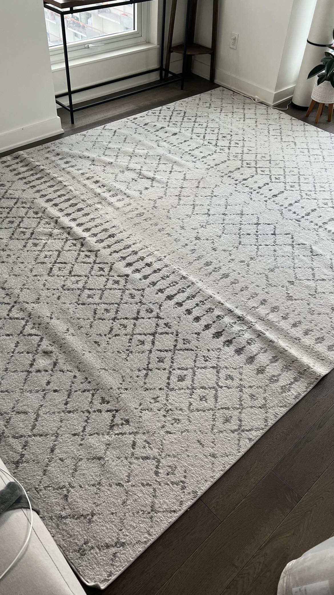 Grey Moroccan Trellis 8' x 10' Area Rug - photo 4