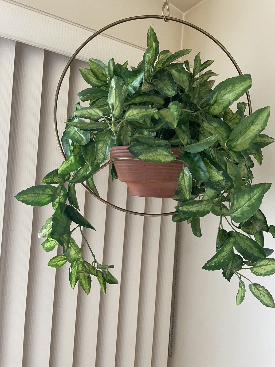 Hanging Plant Stand
