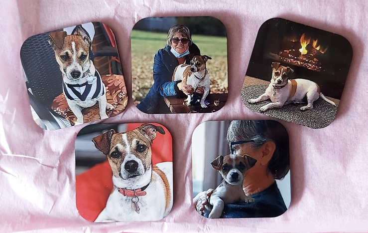 Custom Magnets (Two Sizes Available) - photo 3