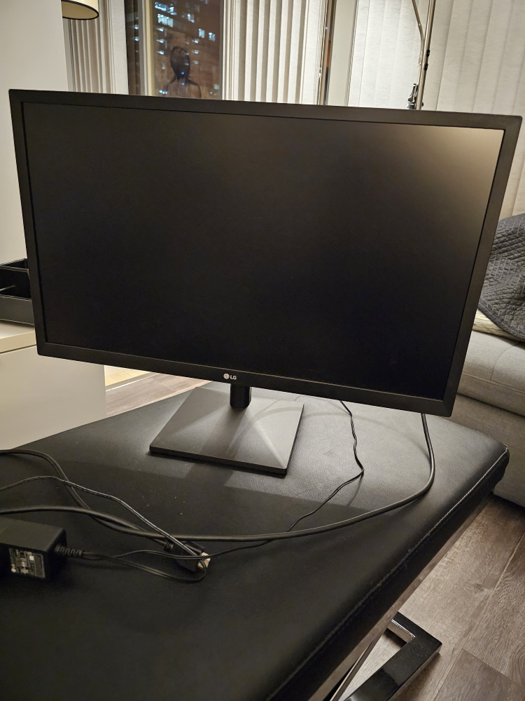LG Monitor