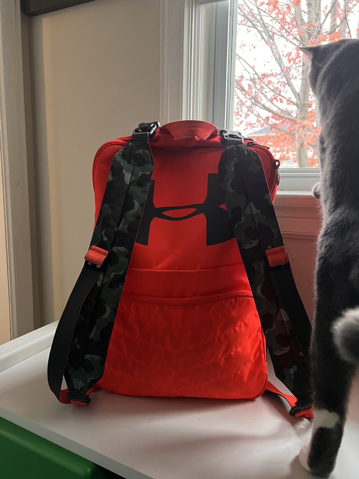 Backpack  #freecycle image indicator(2)