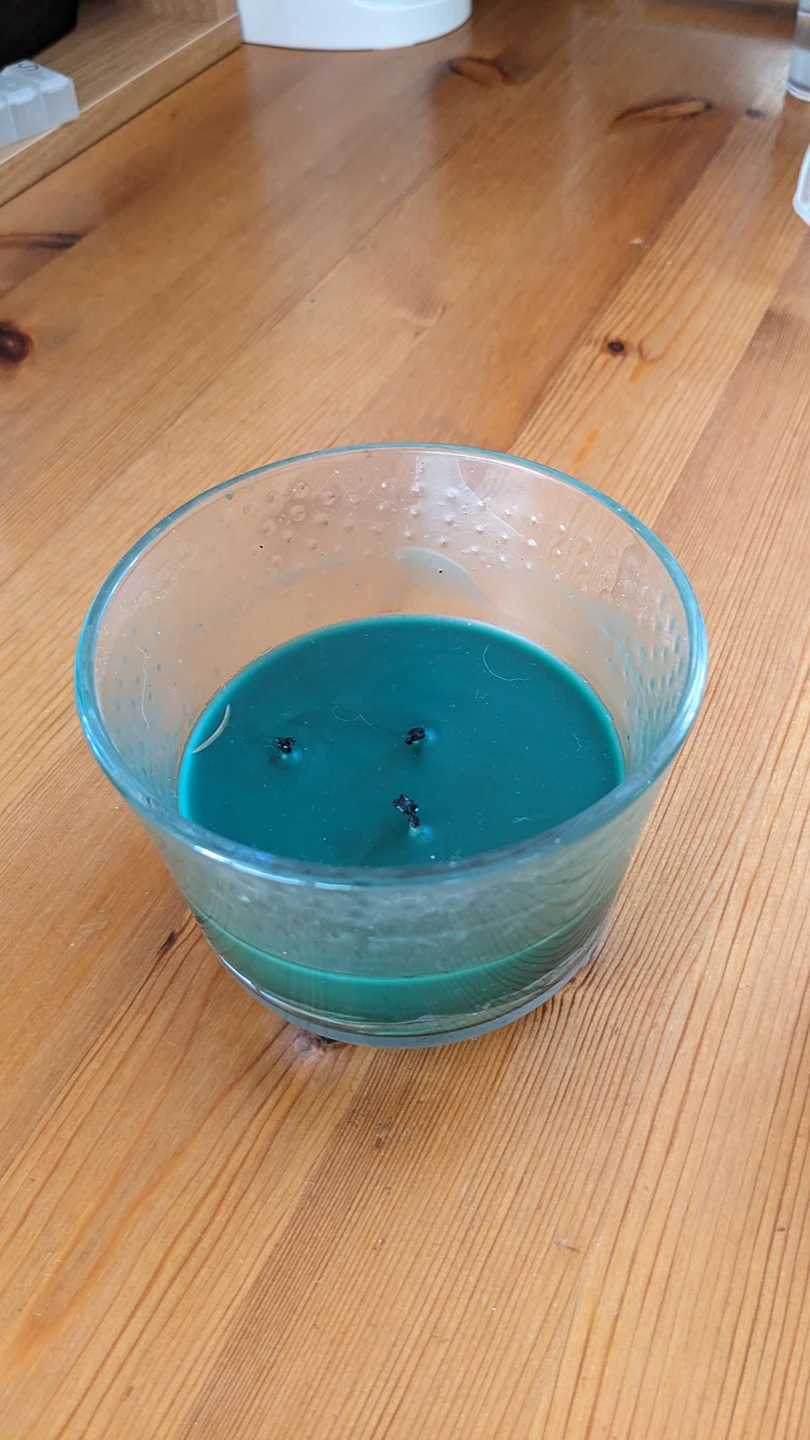pine tree scent candle