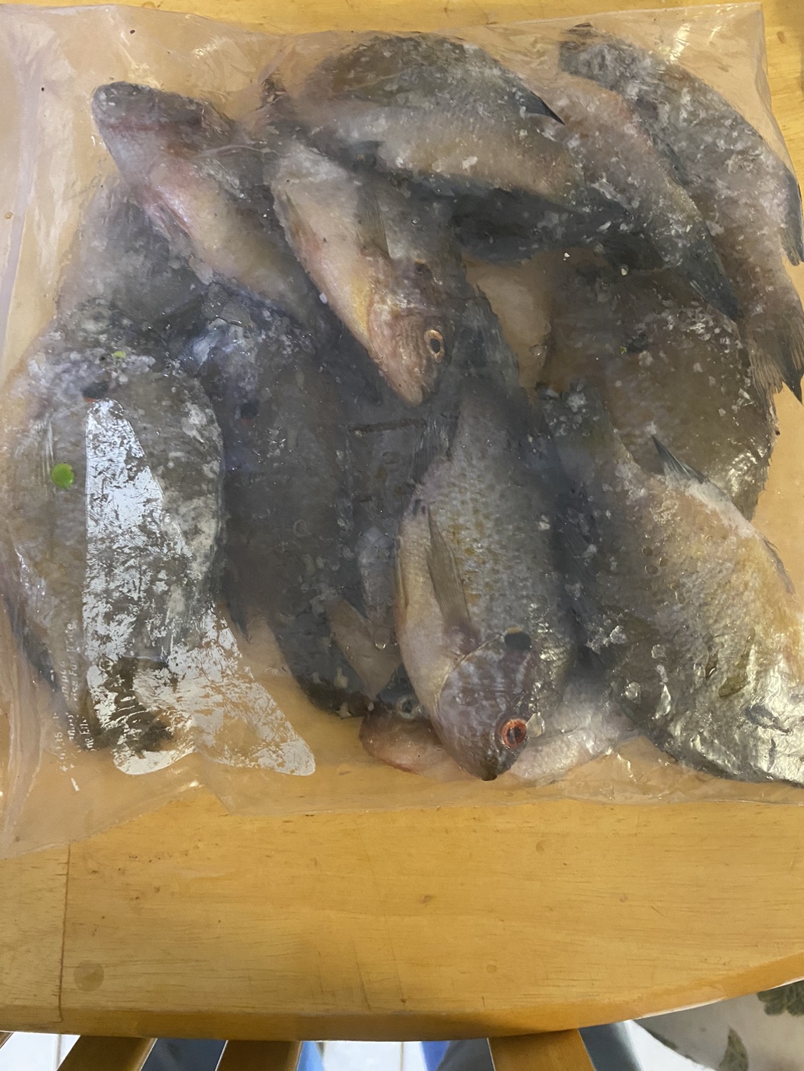Frozen fish