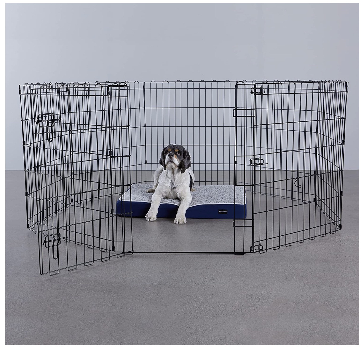 Pet Fence/Pen with Door Gate