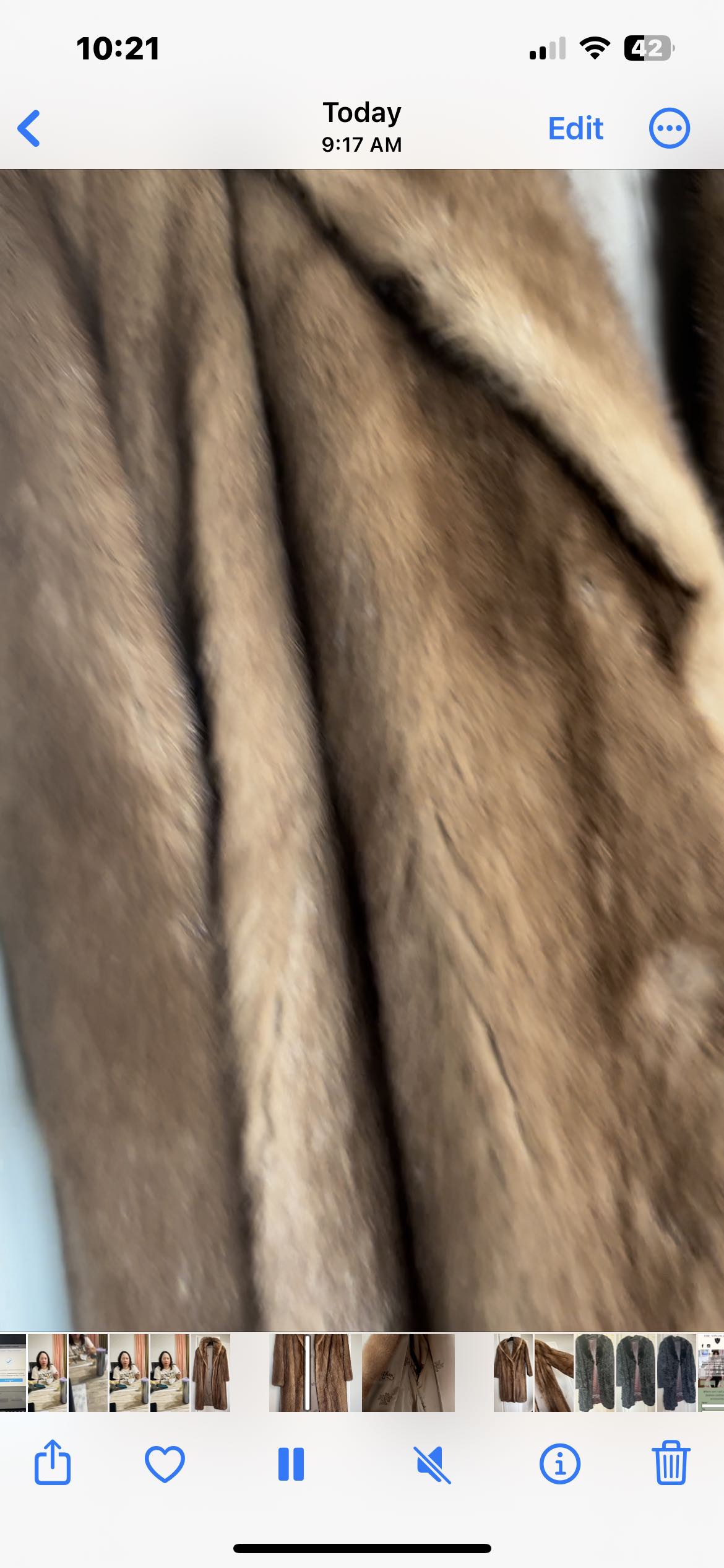 Coat image indicator(5)