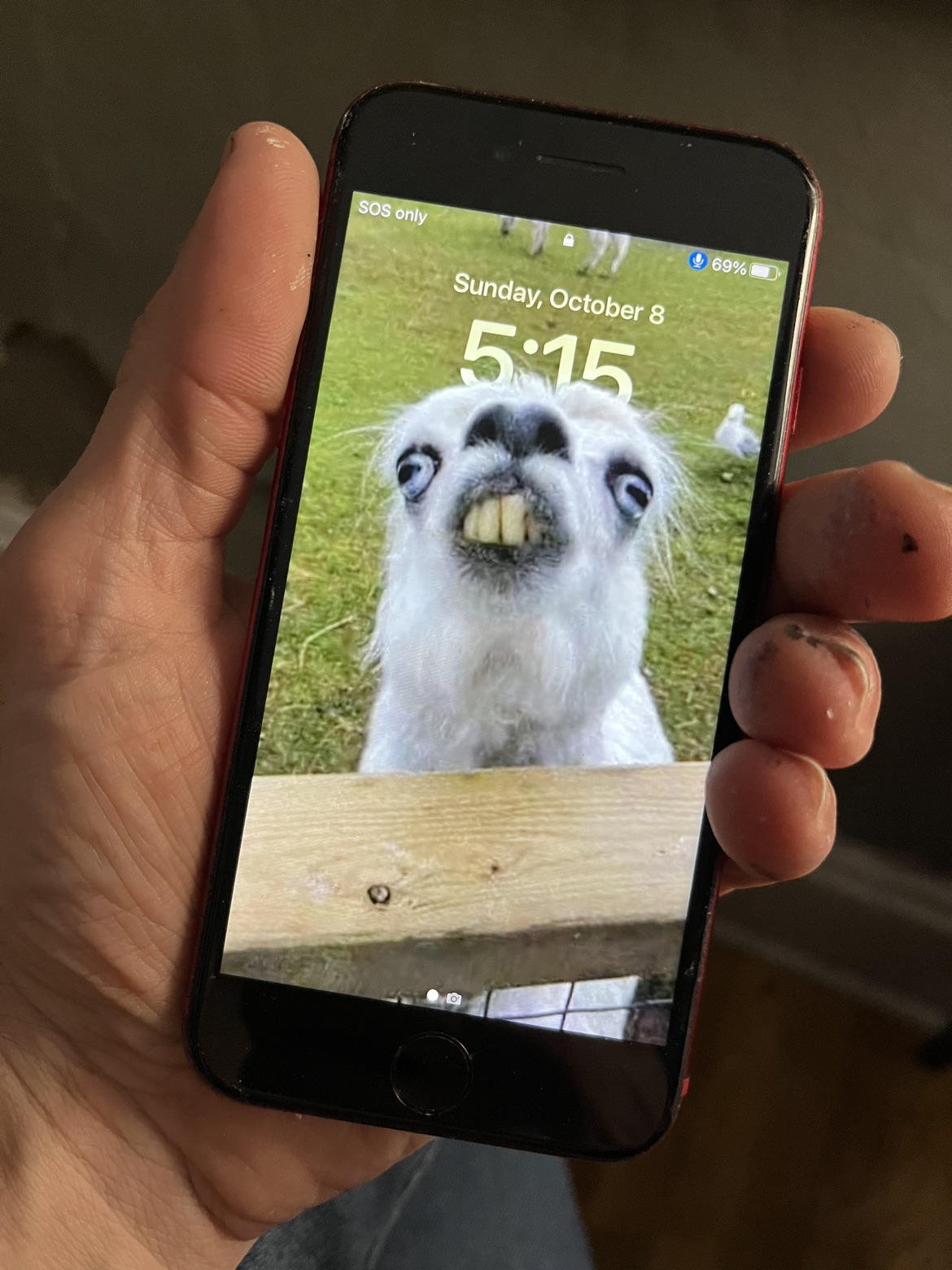 Iphone SE (3rd gen) - photo 5