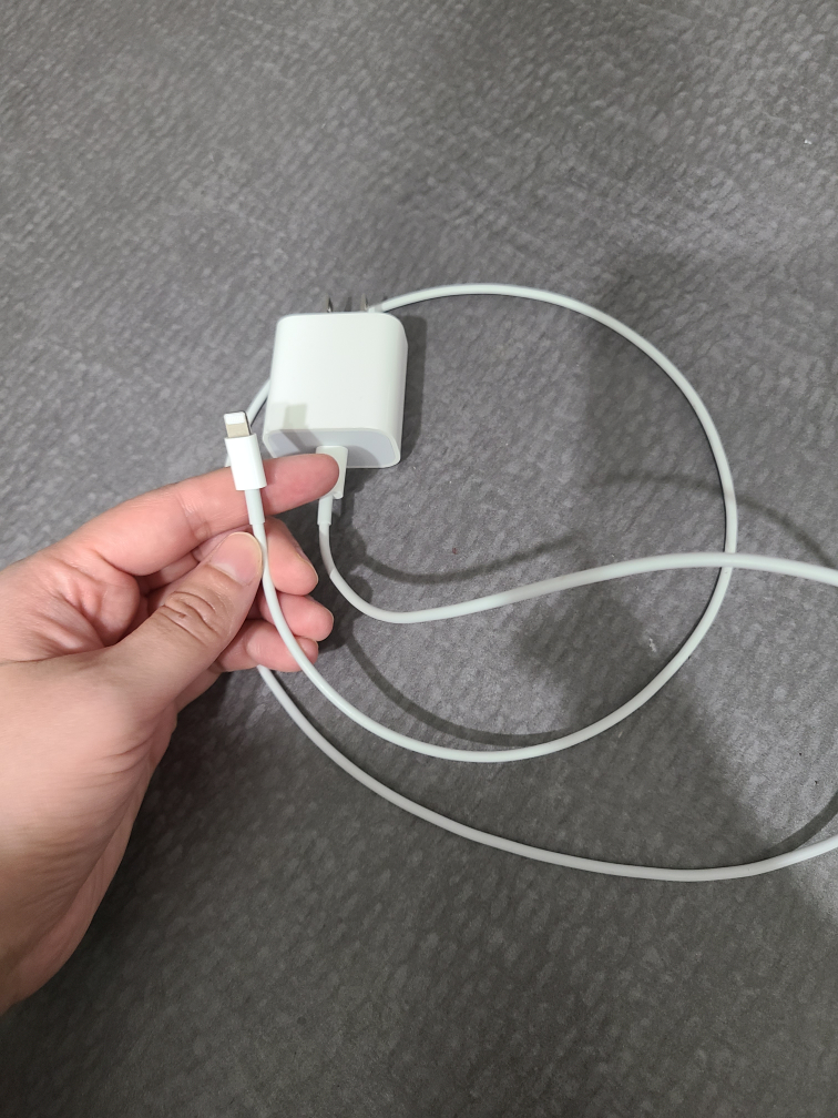 apple charger - photo 2