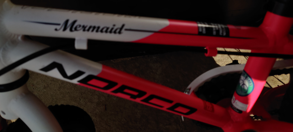 14" Norco mermaid aluminum Bike image indicator(2)