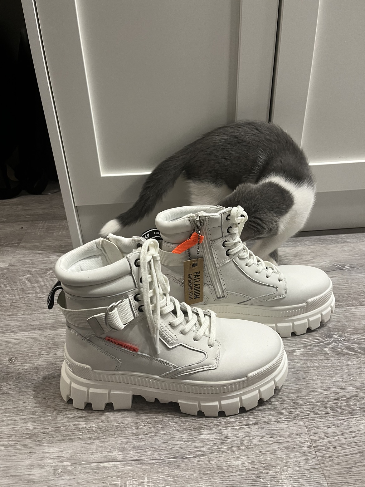 Palladium brand new shoes with original box - photo 4