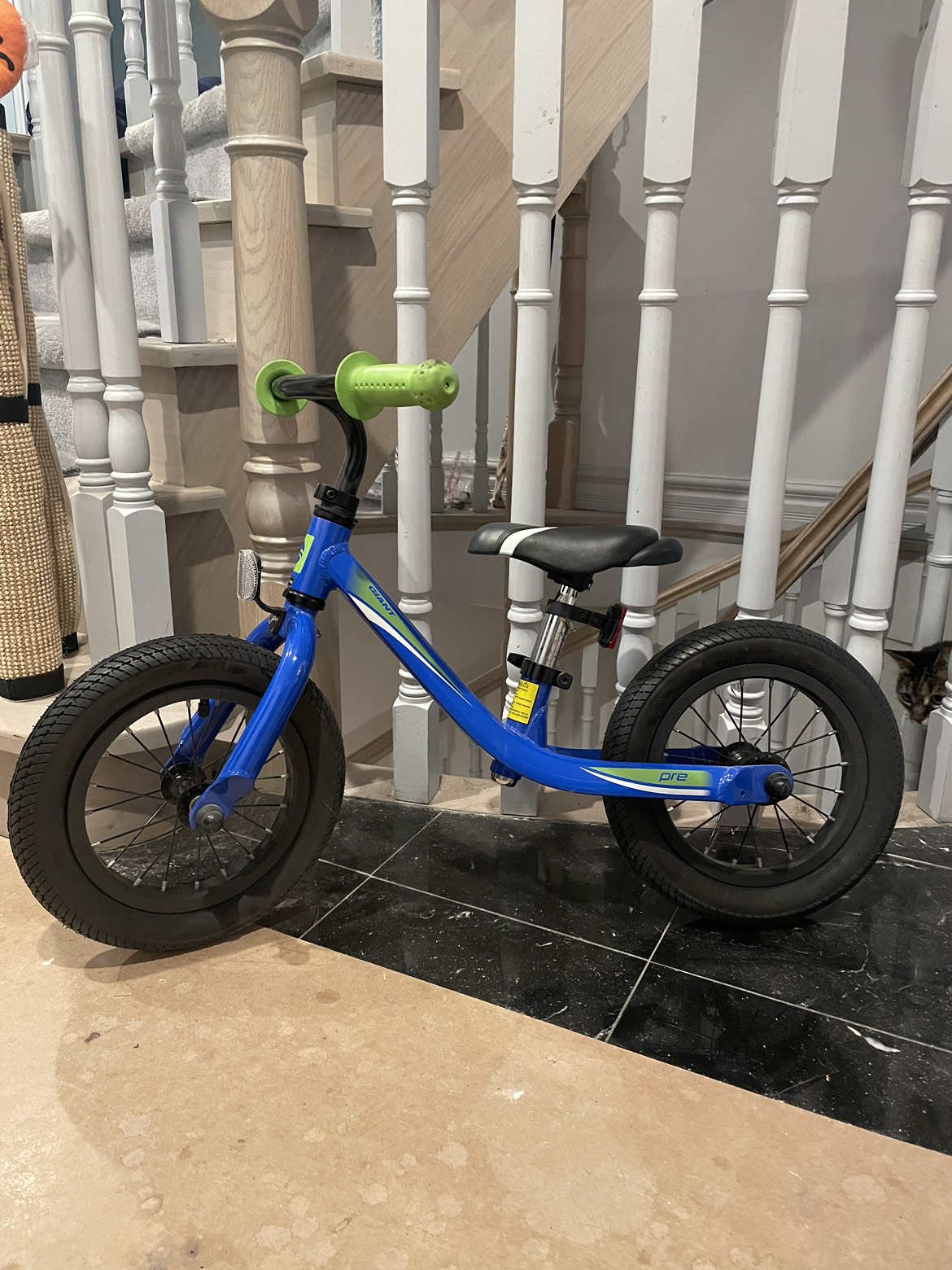 No pedal bike