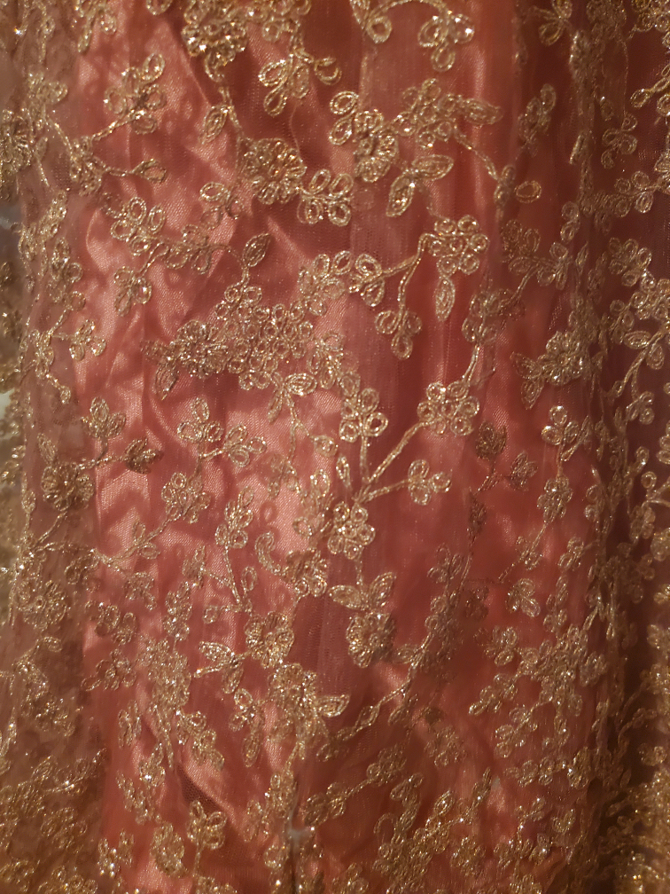 South Asian Party Wedding Dress Anarkali image indicator(4)