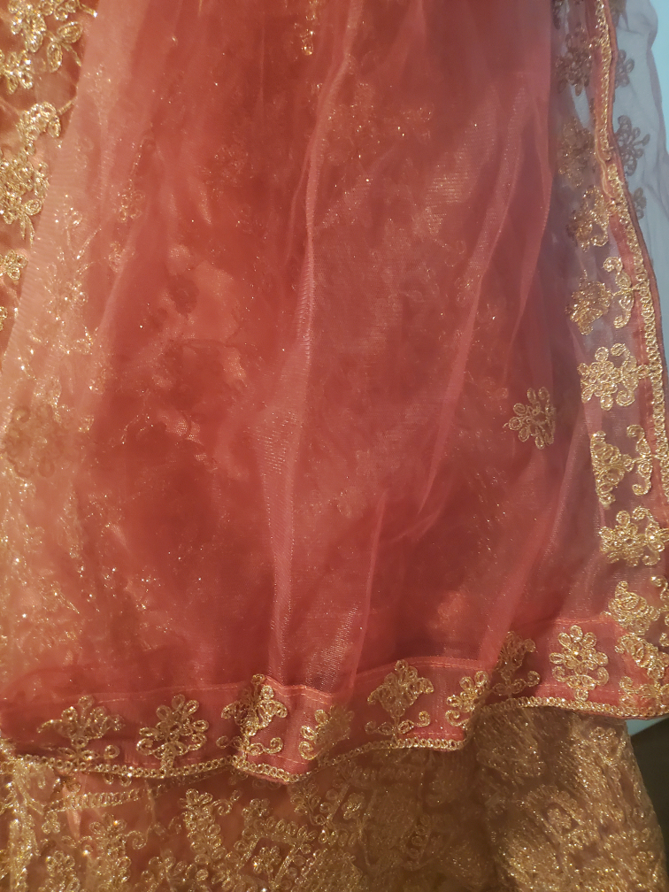 South Asian Party Wedding Dress Anarkali image indicator(6)