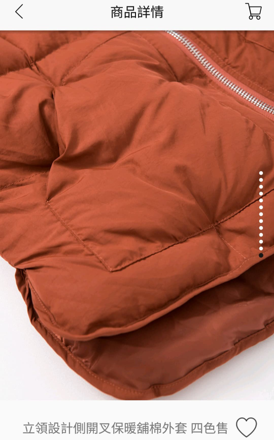 Caramel Jacket Freesize image indicator(4)