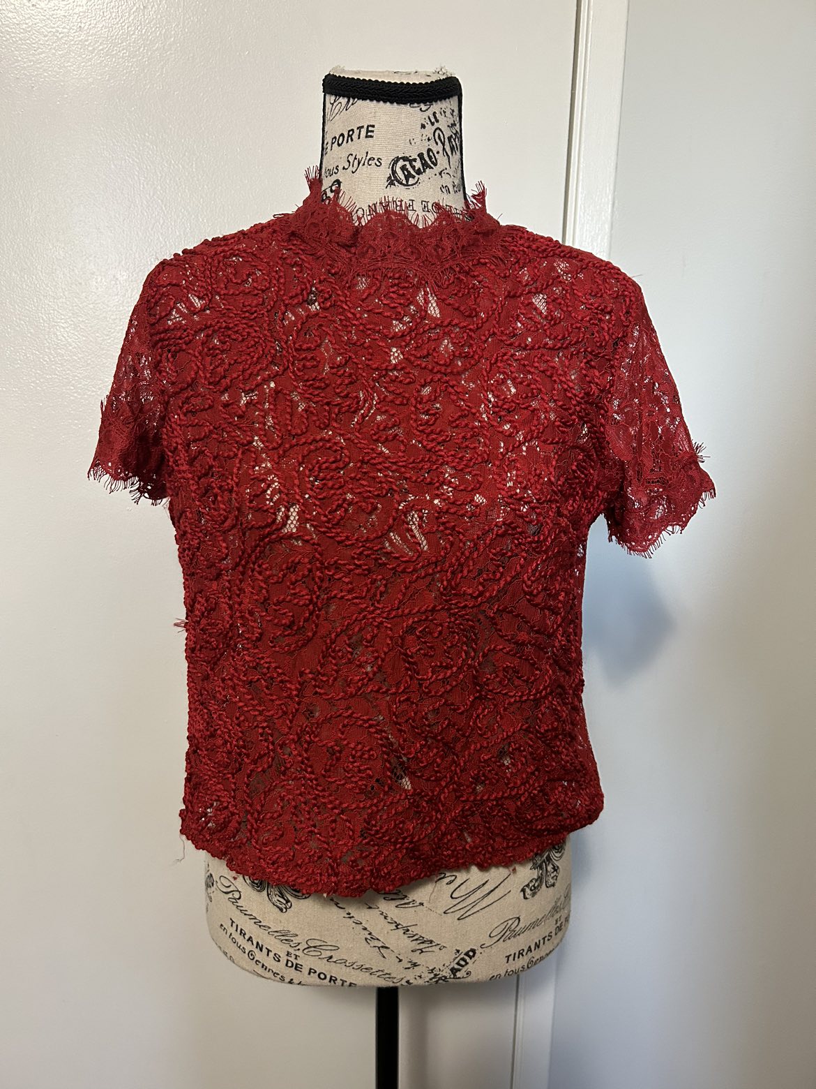 Zara Red Lace Crop Top thumbnail