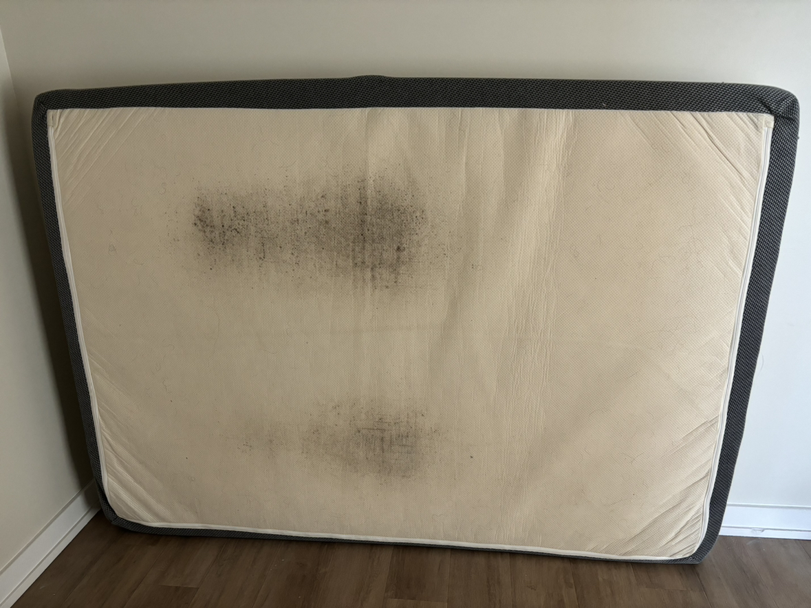 Zinus 6 Inch Memory Foam Mattress image indicator(7)