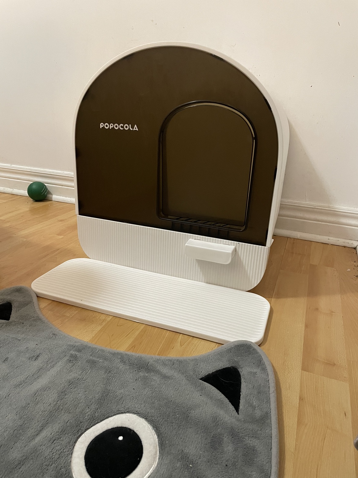 Cat Litter Box