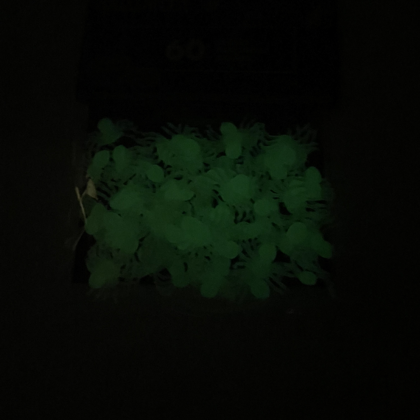 Glow in The Dark Halloween Spiders 🌟FREE🌟 image indicator(3)