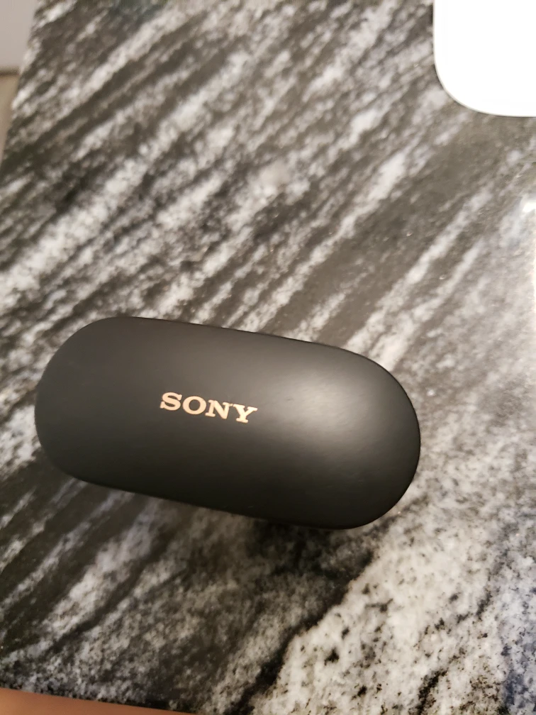 Sony earbuds