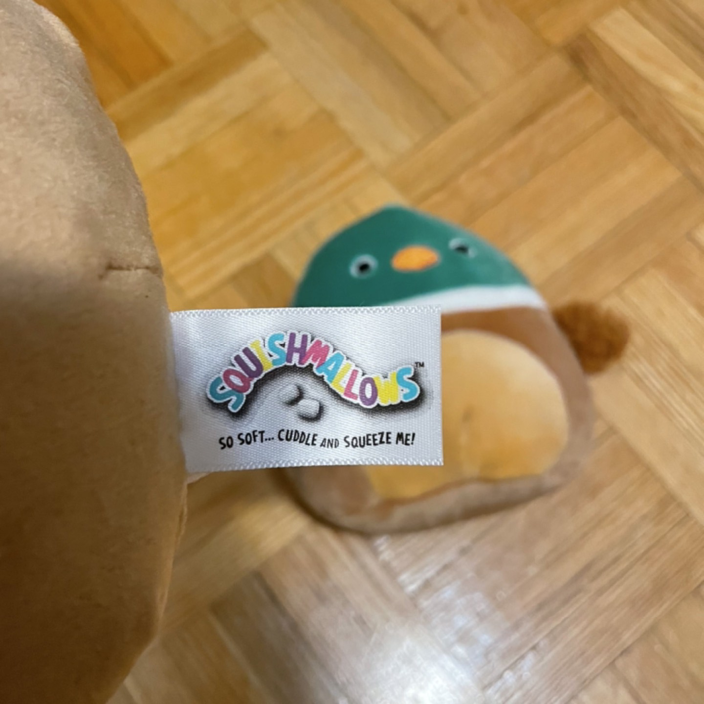 Duck Squishmallows image indicator(2)