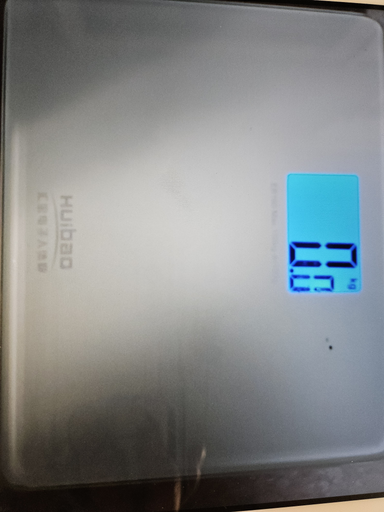 digital weighing scale