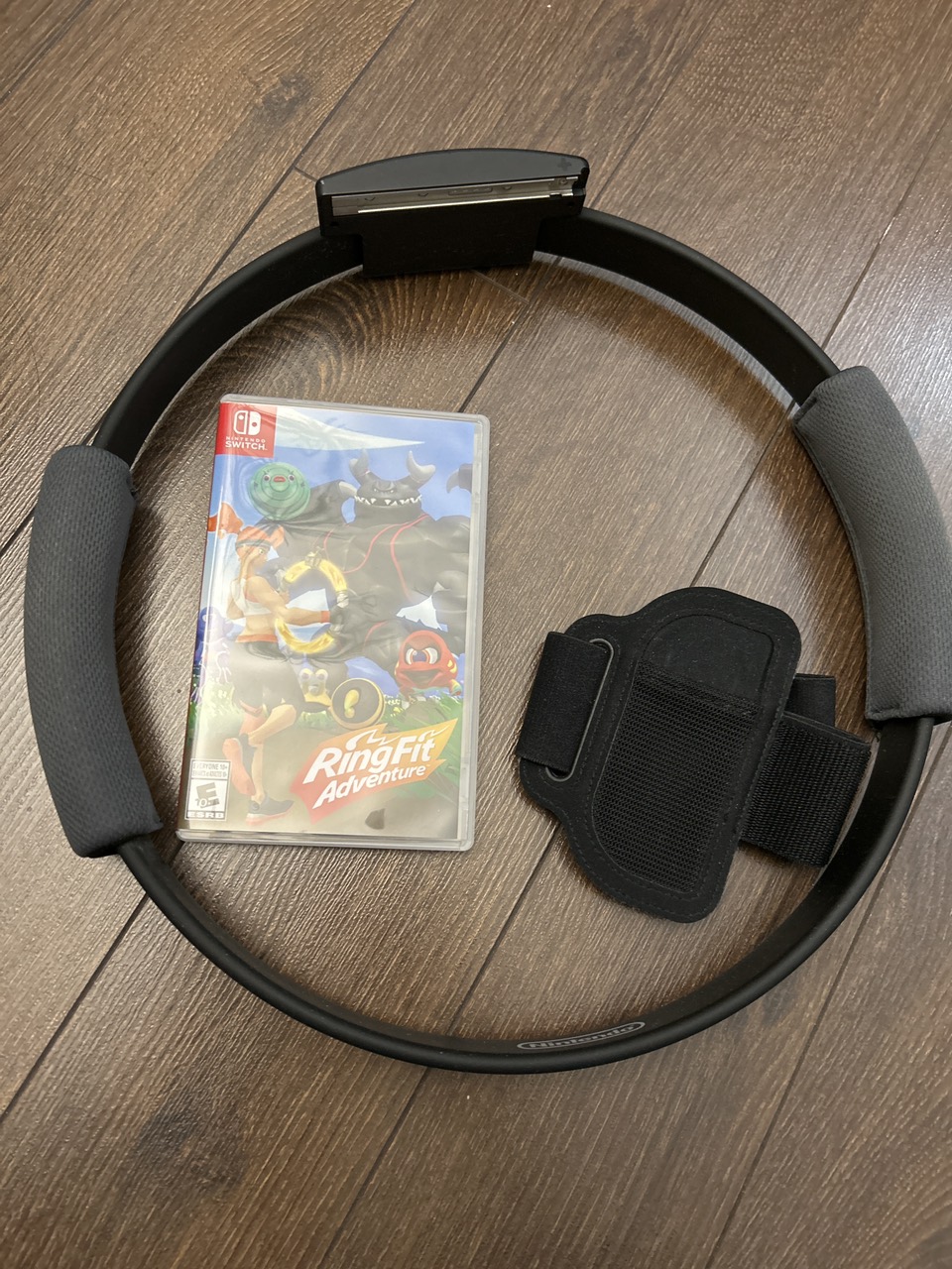 Nintendo Switch Ring Fit thumbnail