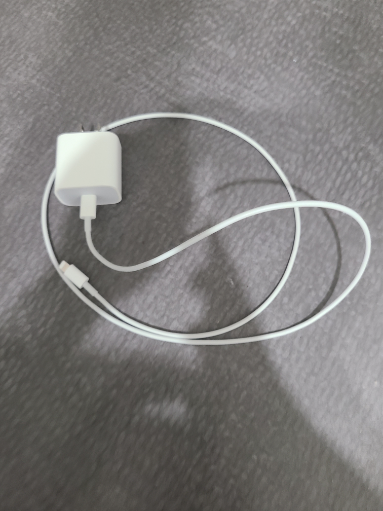 apple charger