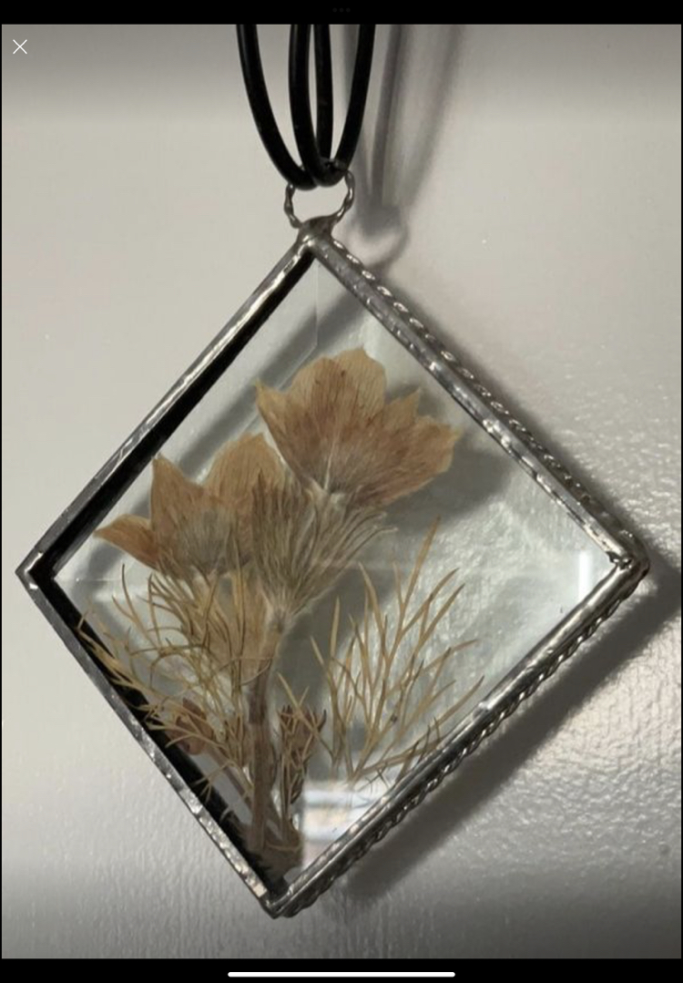 ⭐️ 5 Beautiful Delicate Vintage Pressed Flower Sun Catchers - photo 5