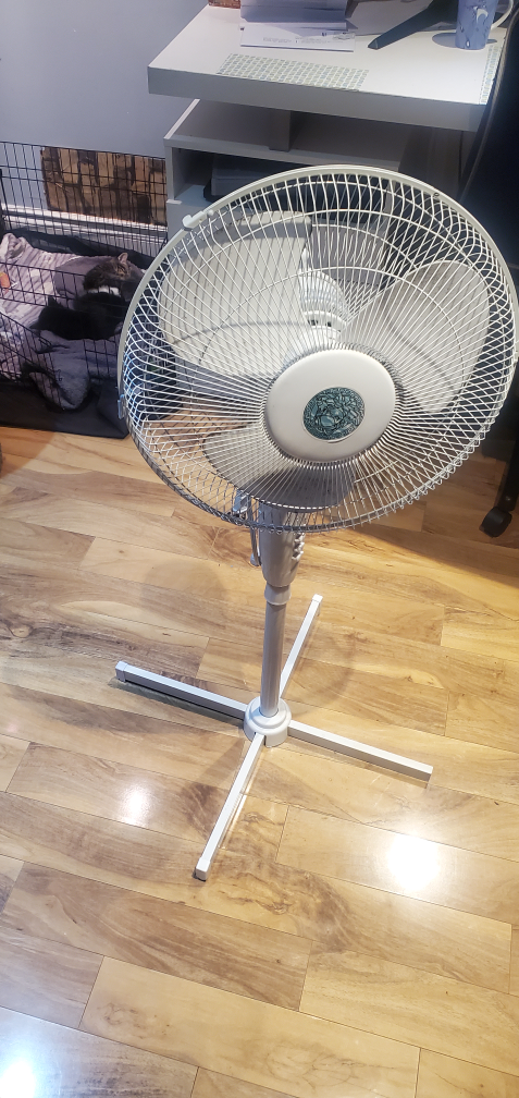 Standing fan #freecycle - photo 2