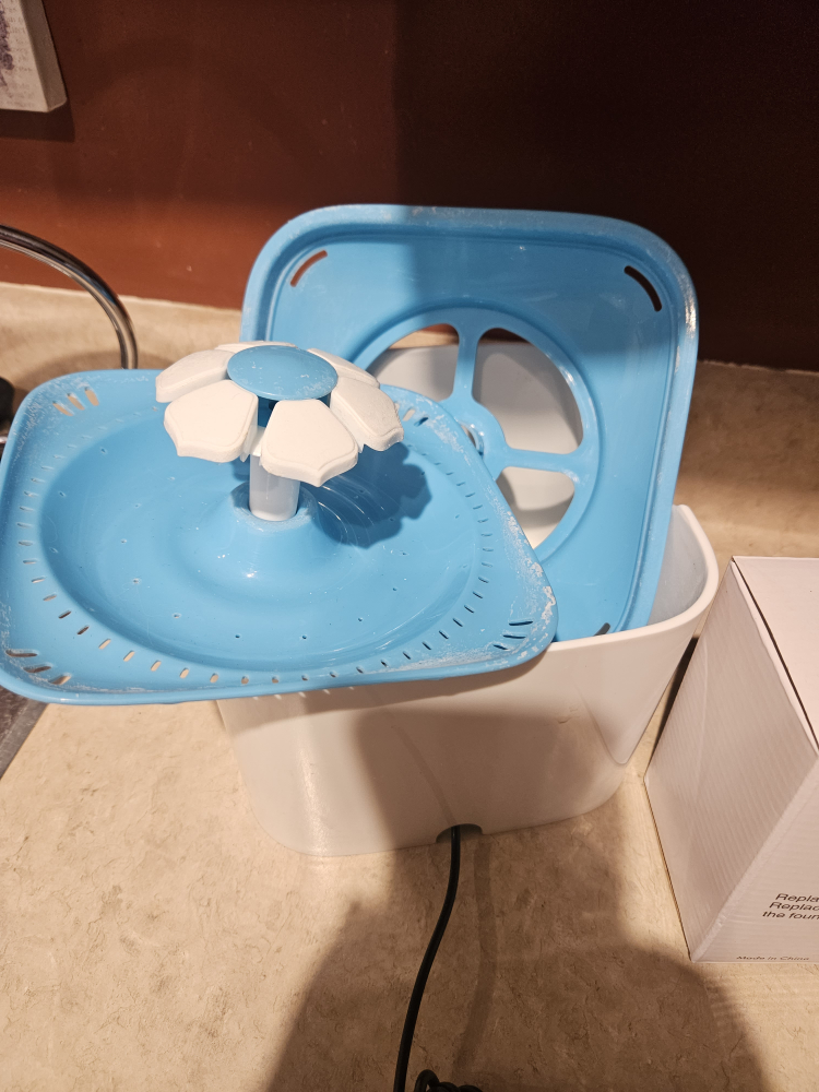 Cat drinking fountain - photo 2