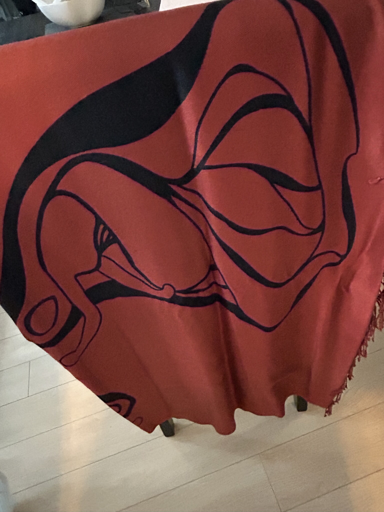 #freecycle. pashmina