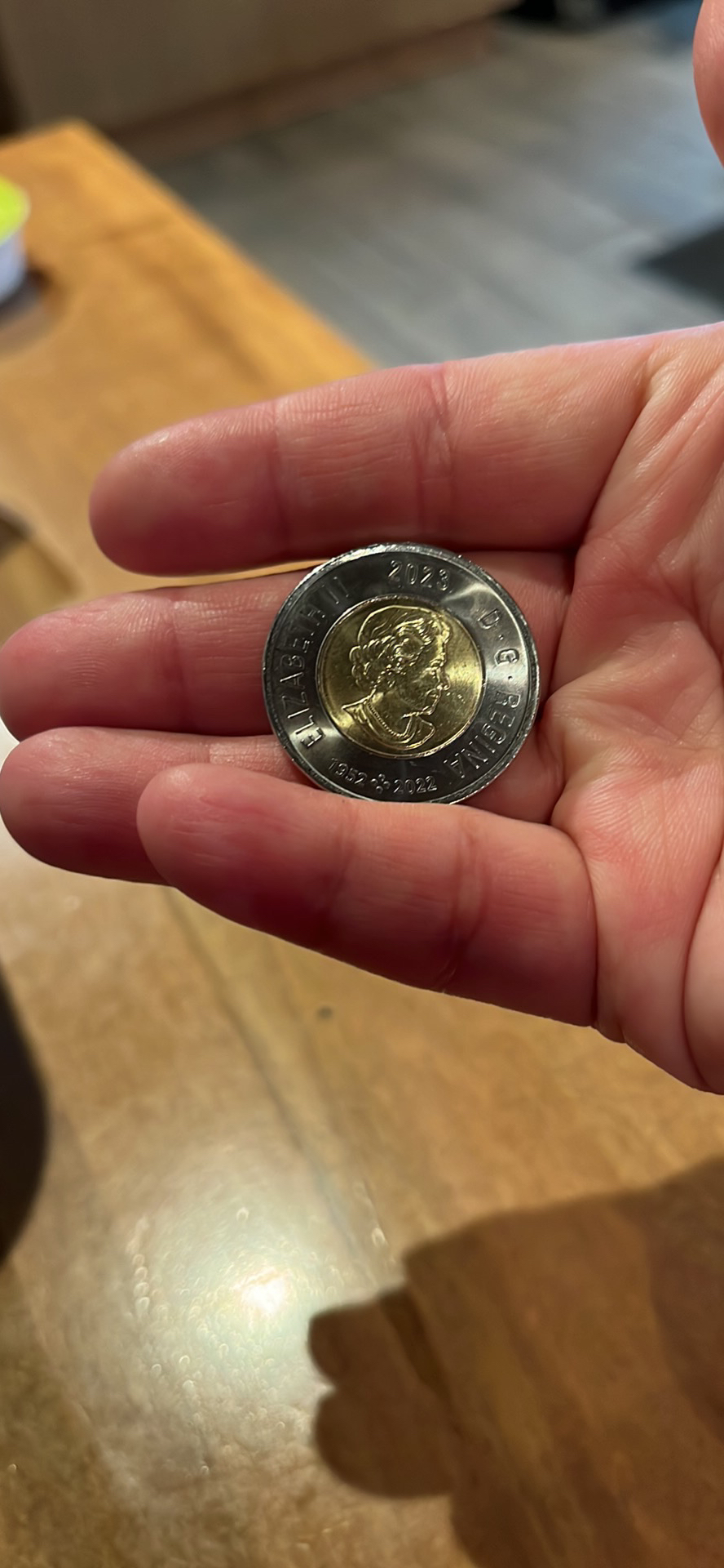 Collectable toonie image indicator(3)