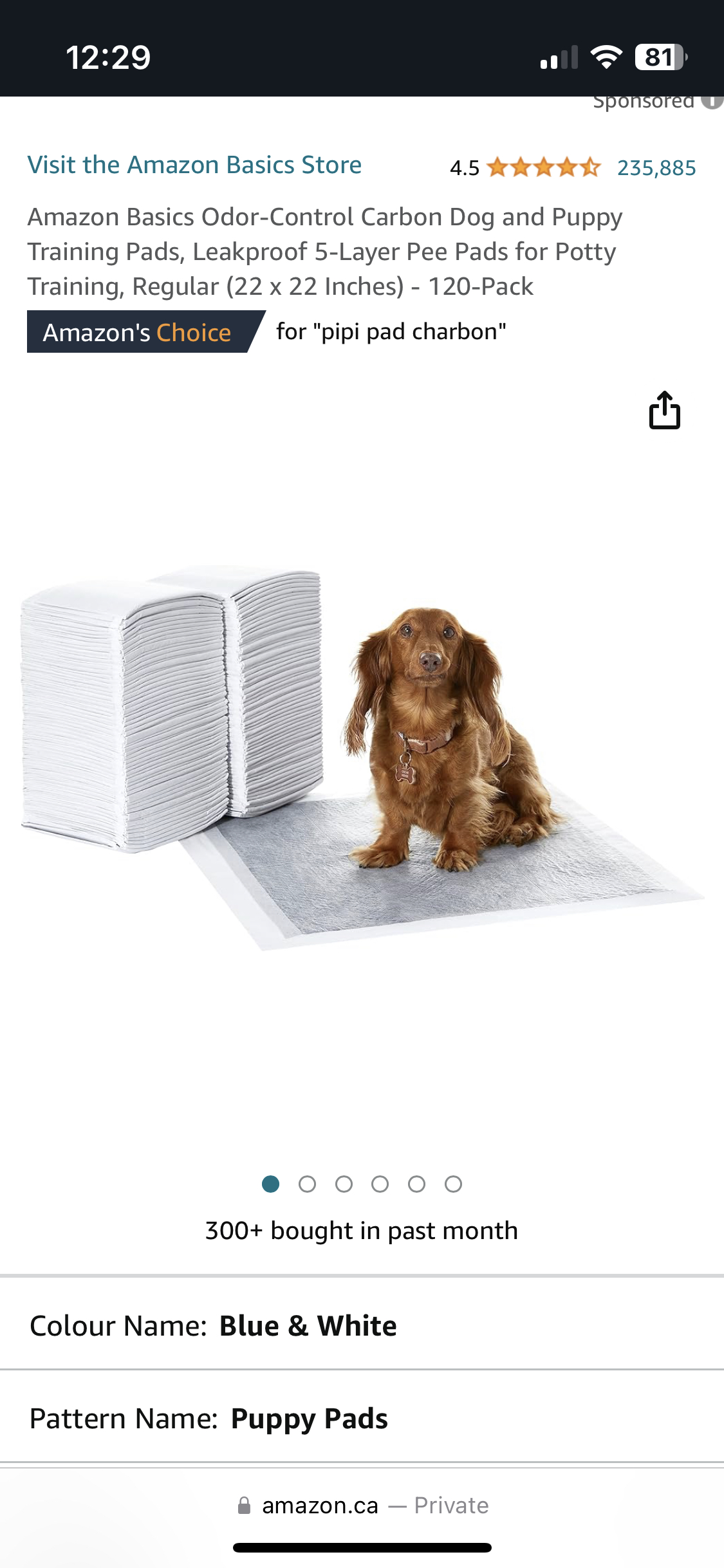 Amazon Basics Puppy Pee Pads Potty Training thumbnail