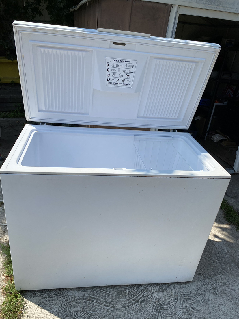 4’ -5’ freezer - photo 4