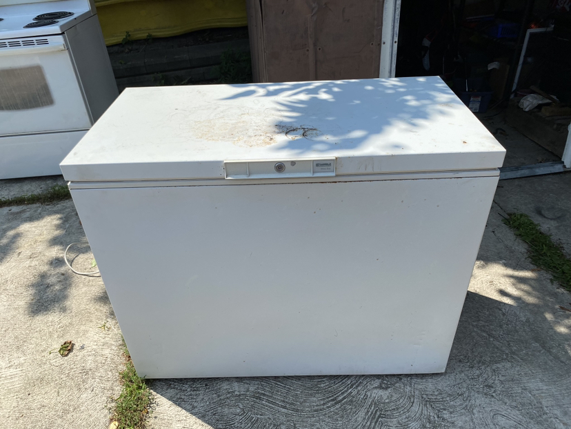 4’ -5’ freezer - photo 3