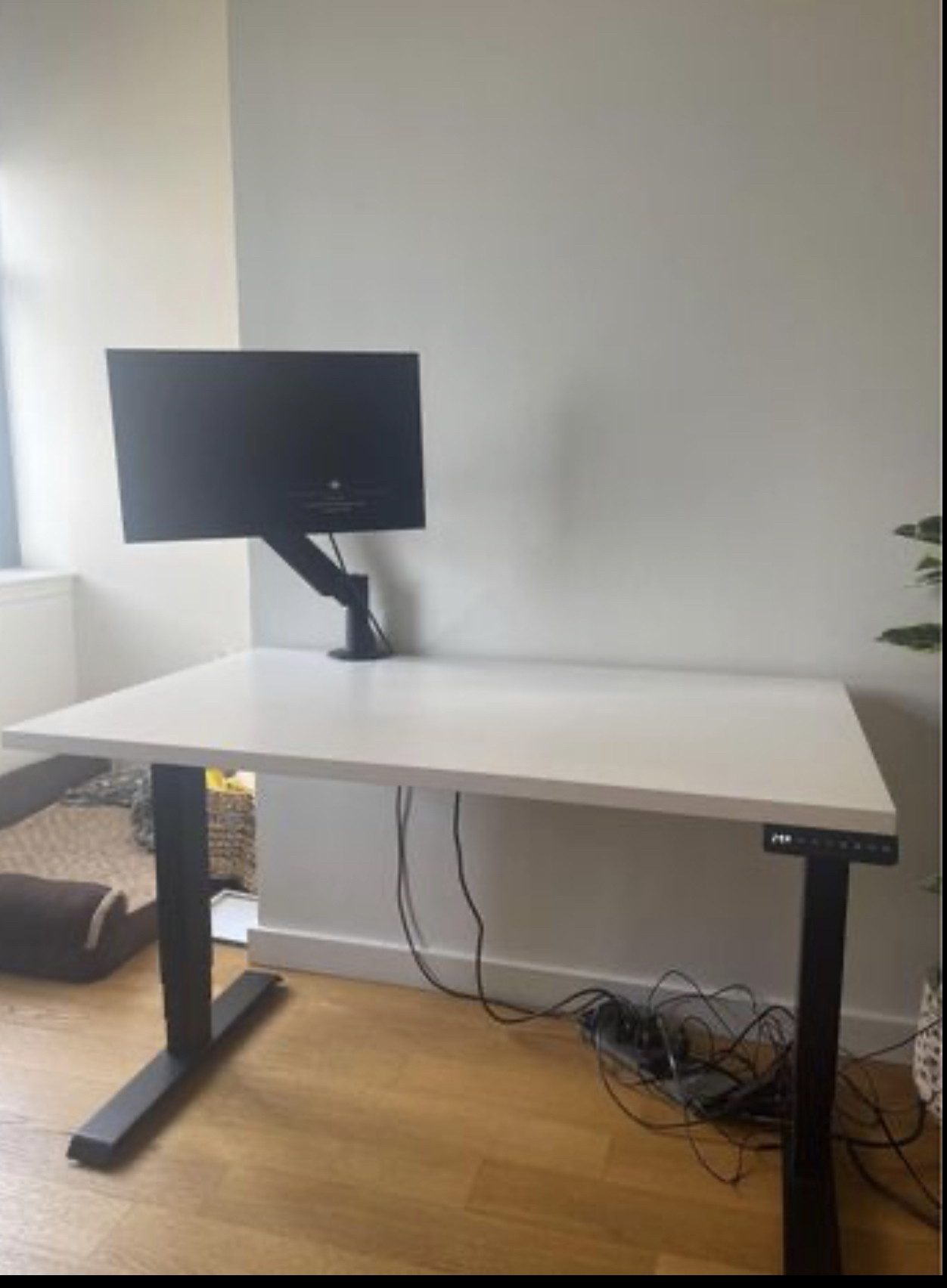 Workstation electric - make offer need gone asap