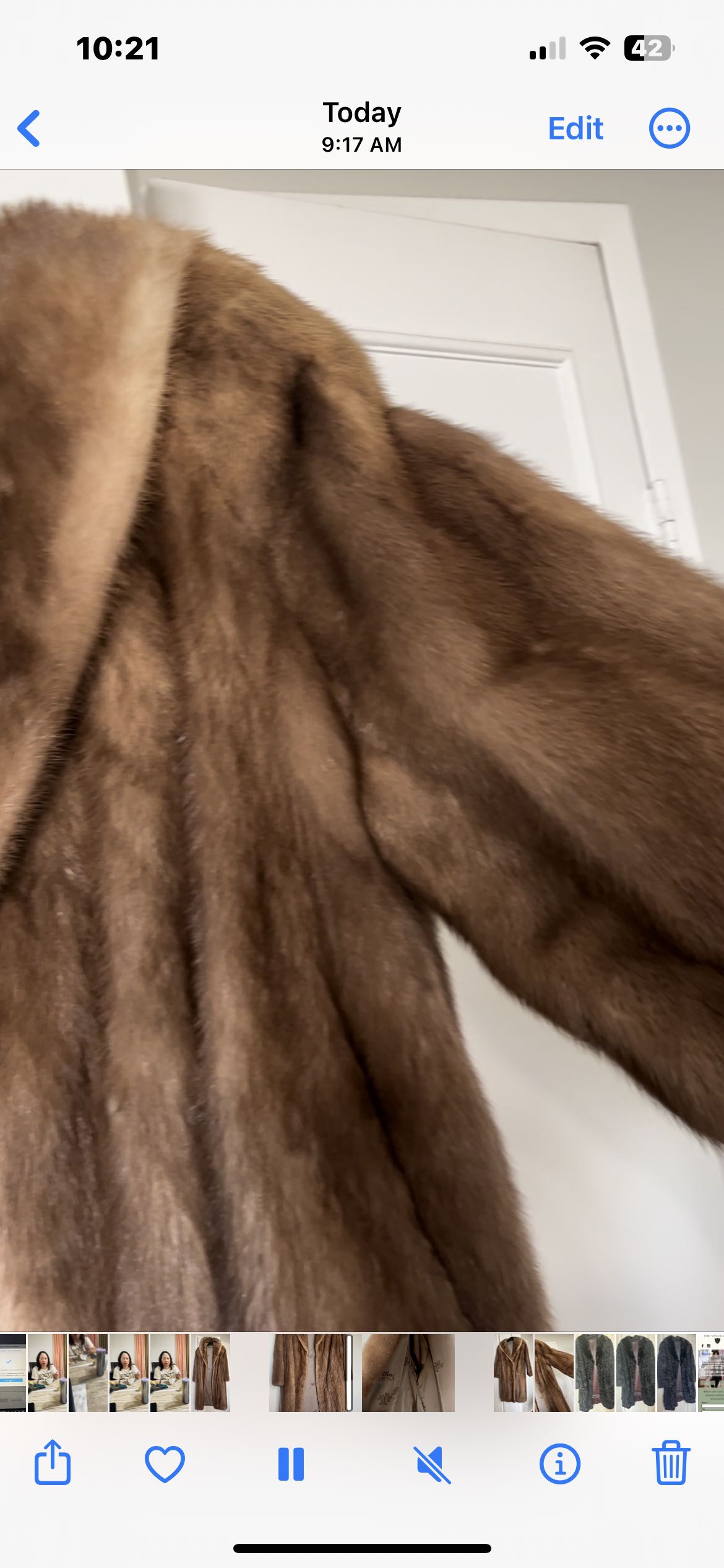 Coat