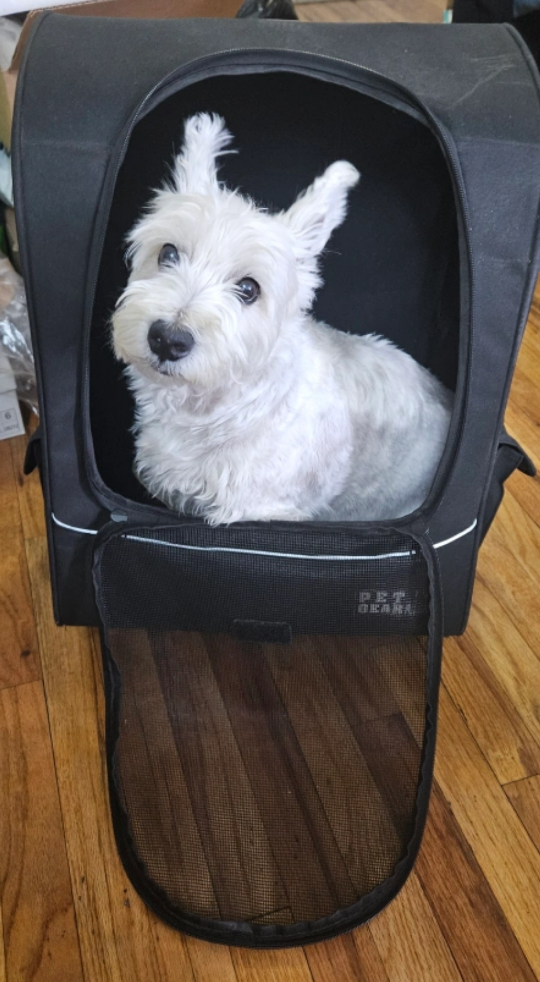 Dog Traveling and Wheel Backpack - photo 3