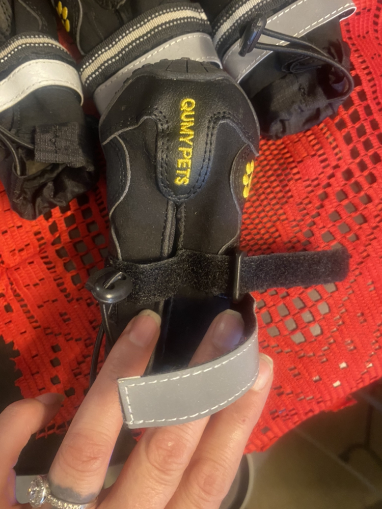 Size 5 for mediums two large dogs image indicator(2)