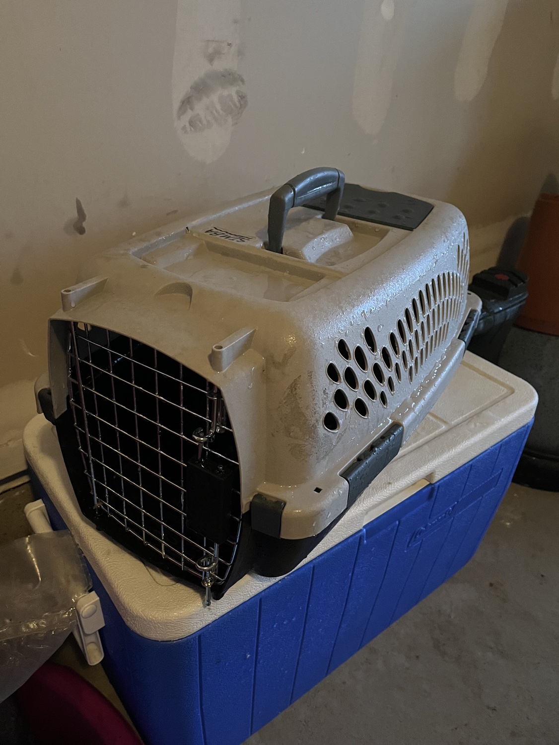 Small cat carrier