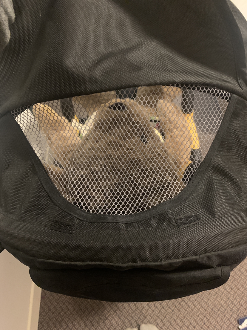 Stroller image indicator(7)