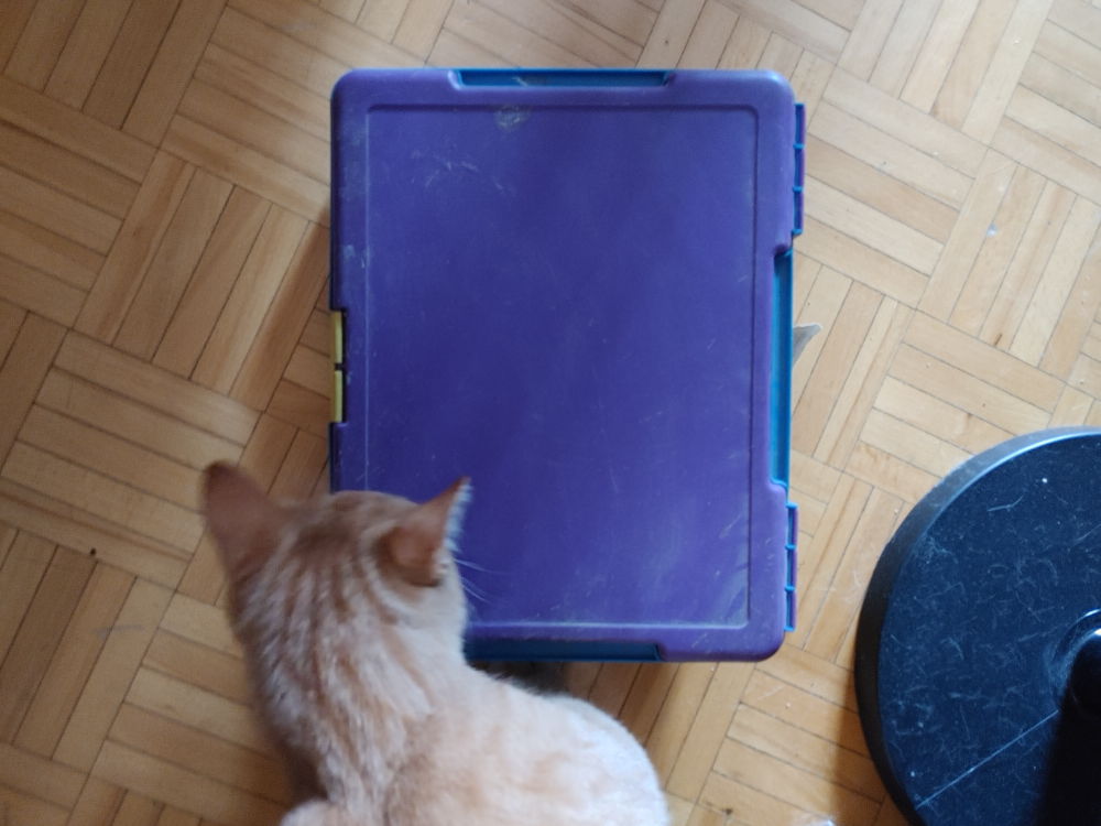 Child's "laptop"