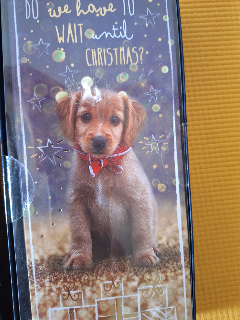 4 New Boxes of Christmas Cards 20 a Box Total 80 Cards - photo 5