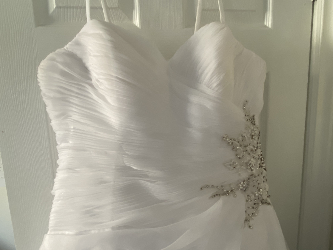 Wedding dress image indicator(4)