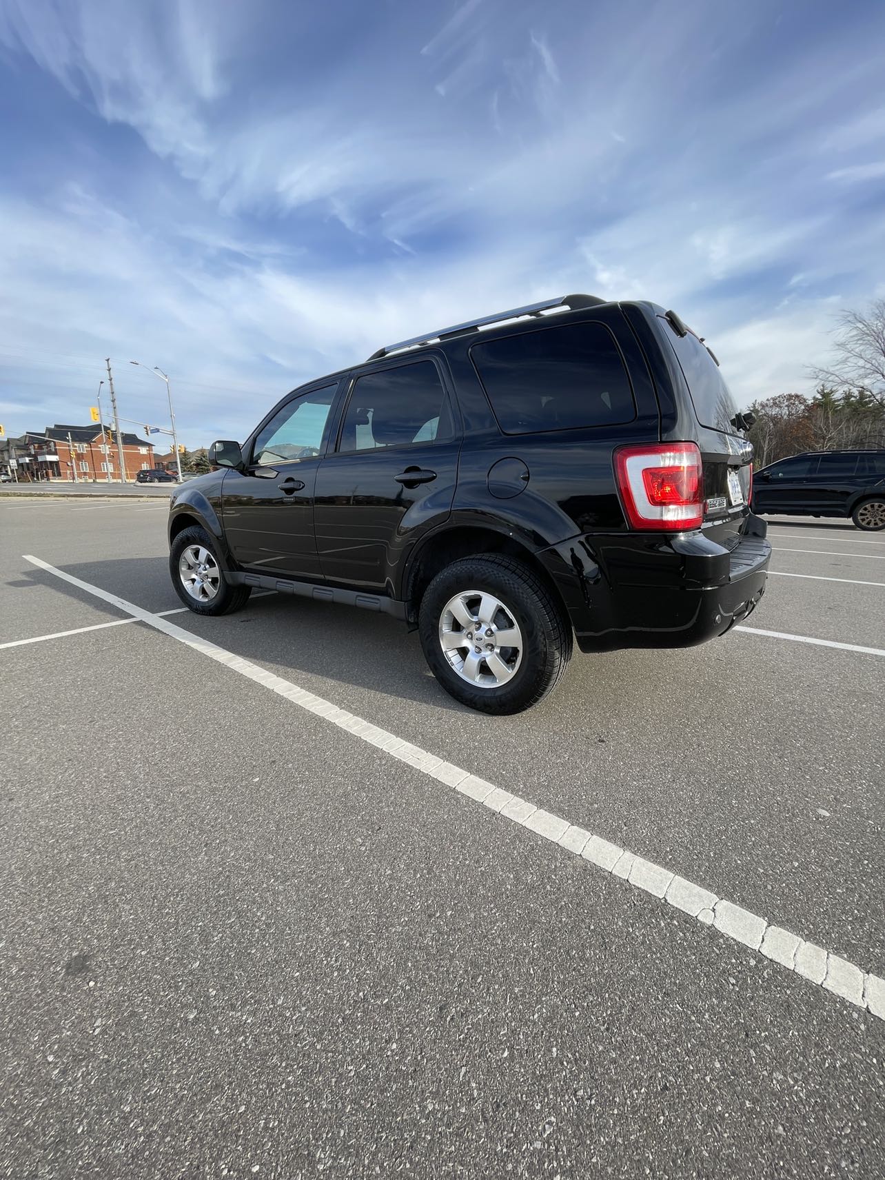 2010 Ford Escape Limited 4WD 4drs for sale - photo 4