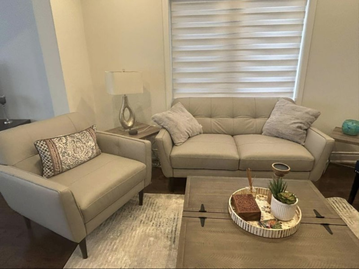 Chair and Love Seat from The Brick