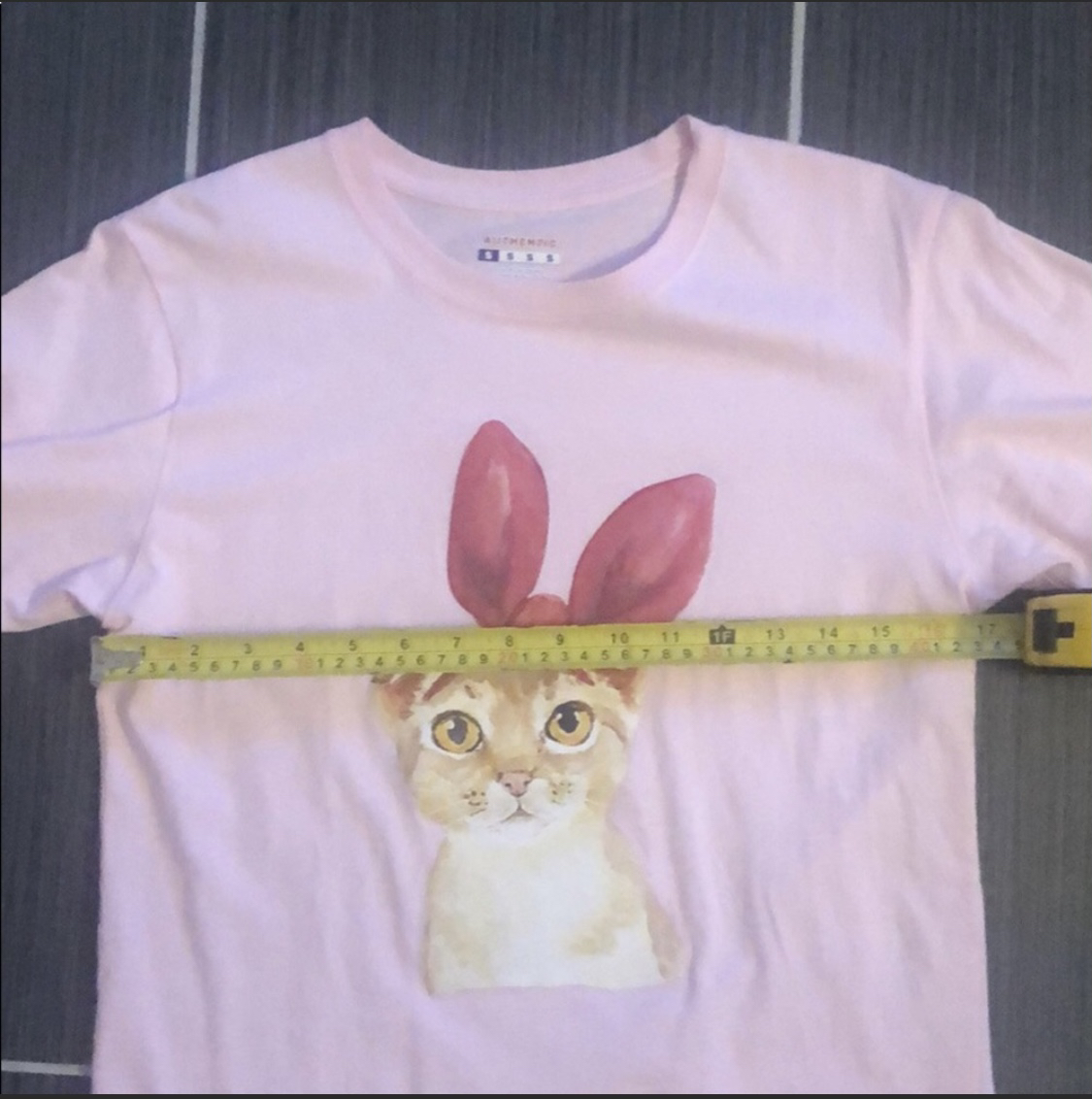 Kitten t-shirt image indicator(3)
