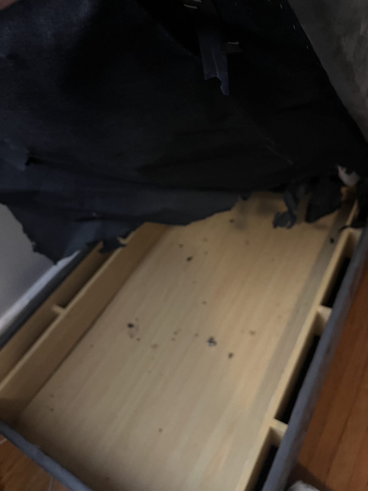 Free lounge couch with storage - photo 3