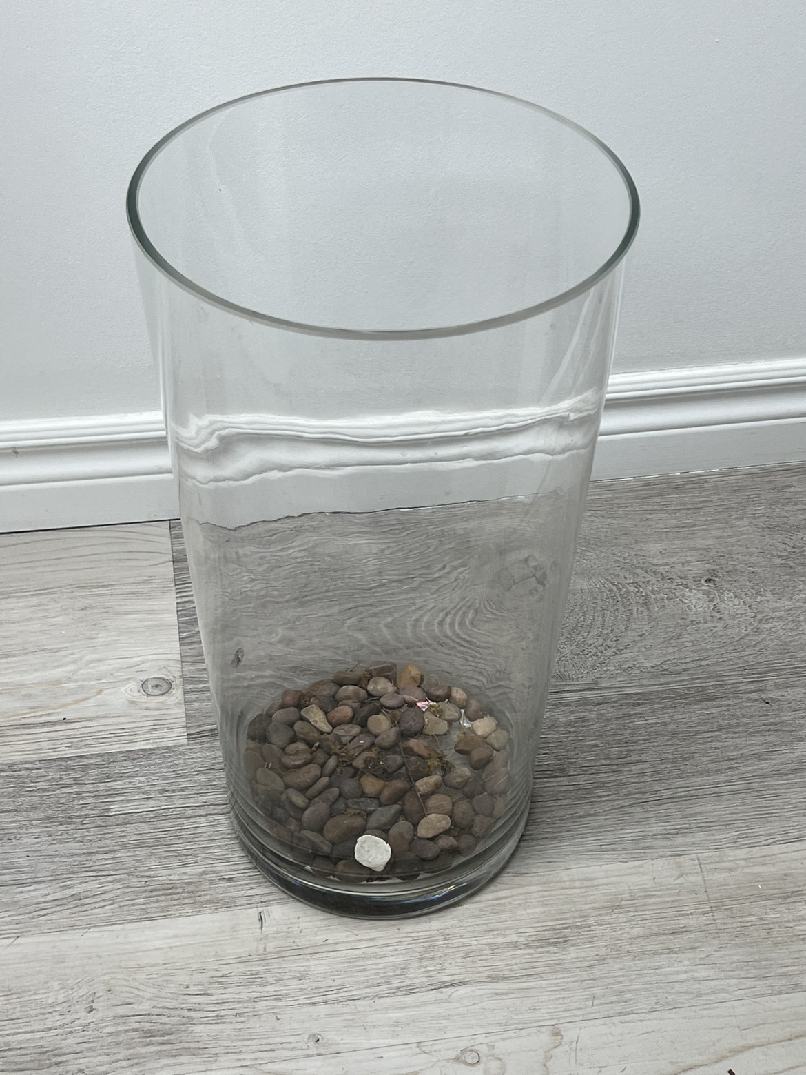 Glass Vase